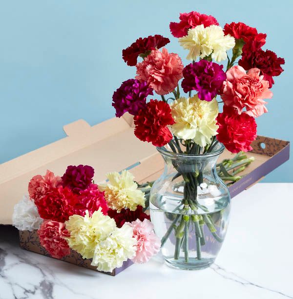 product image gallery_0