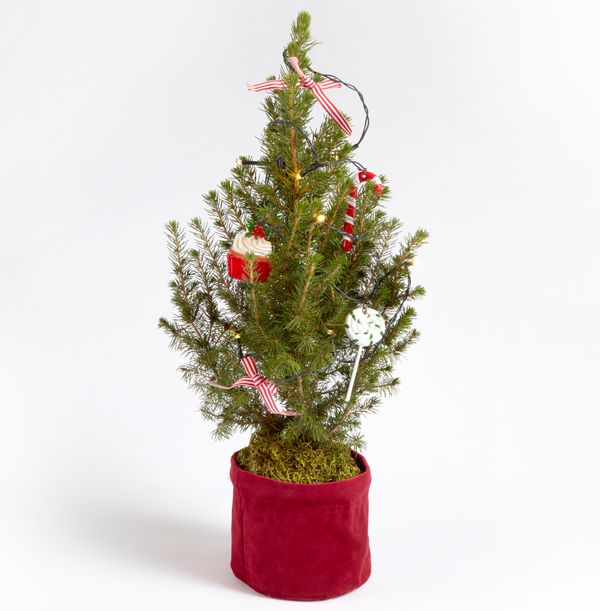 product image gallery_0