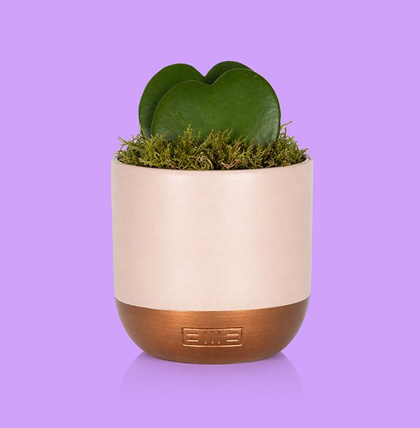 Product image gallery_0