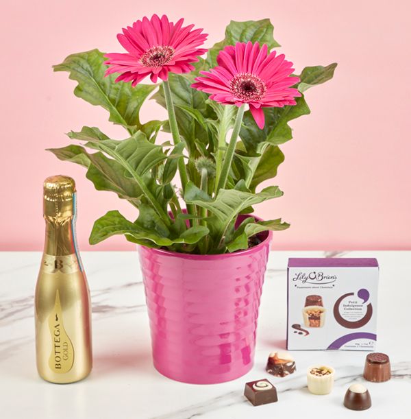 product image gallery_0