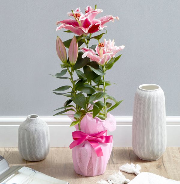 product image gallery_0