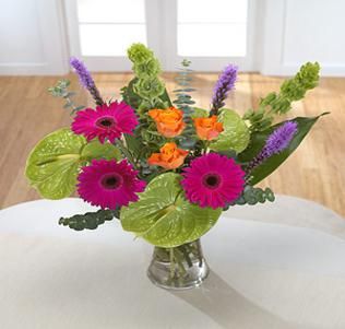 product image gallery_0