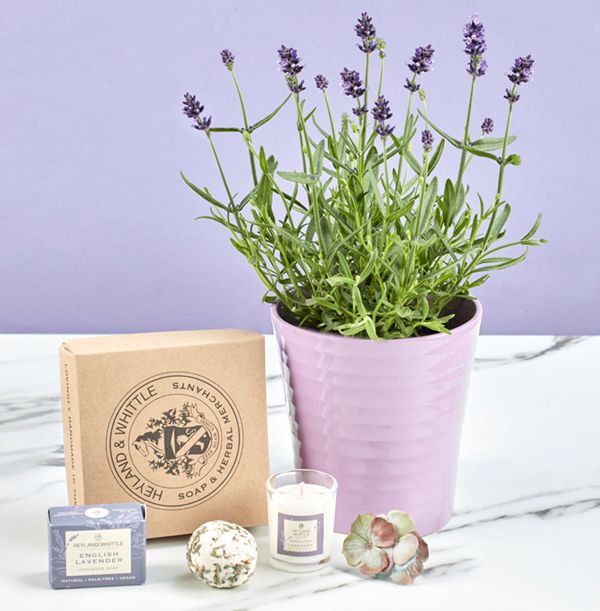 product image gallery_0