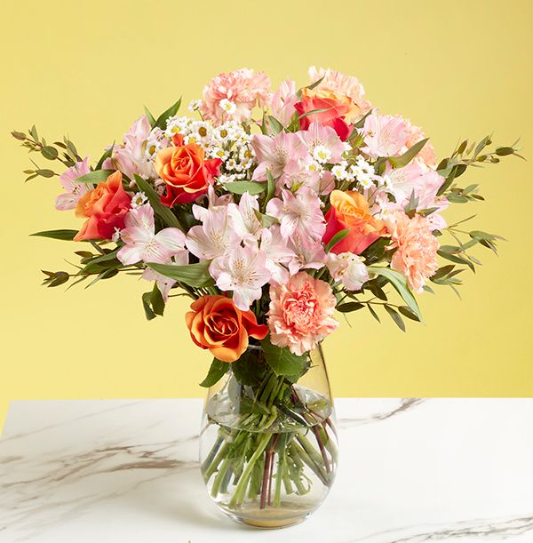 The Luxury Letterbox Coral Collection