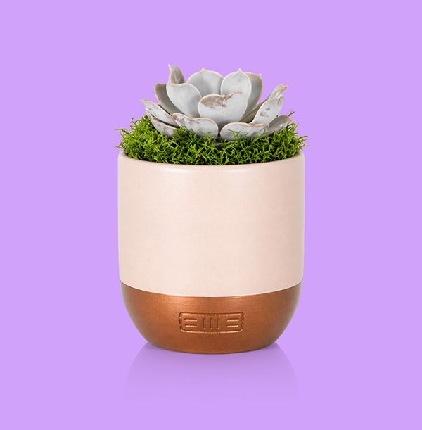 Product image gallery_0