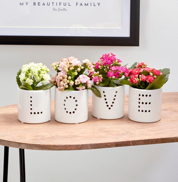 product image gallery_0