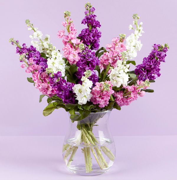 product image gallery_0
