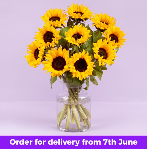 product image gallery_0