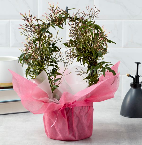 product image gallery_0