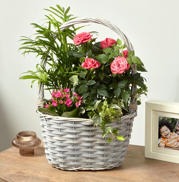 product image gallery_0