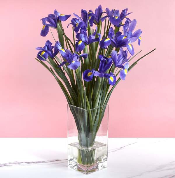 The Blue Iris Letterbox - £18.99