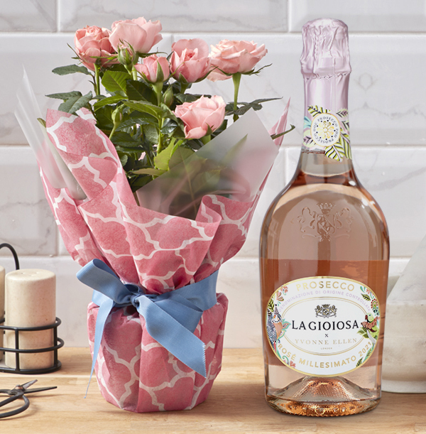Gift Wrapped Pink Rose and Rose Prosecco Set
