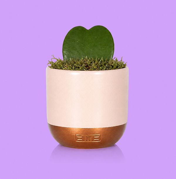 Product image gallery_0
