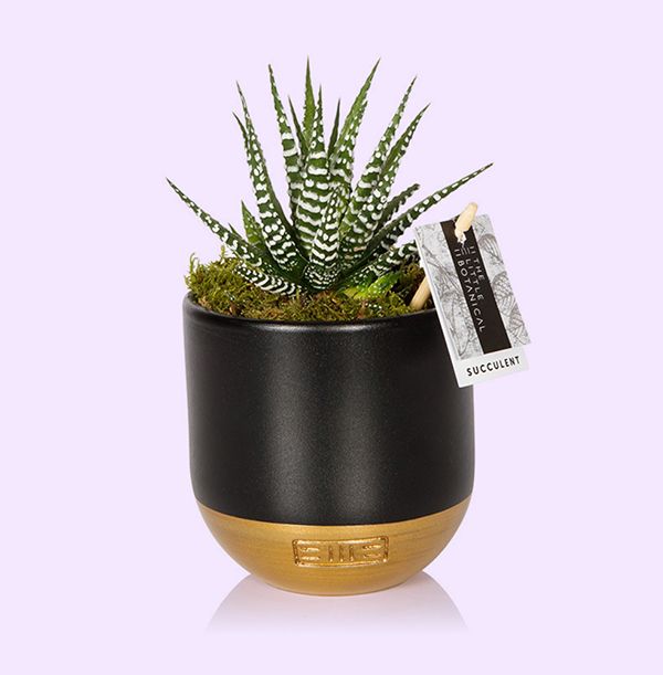 Product image gallery_0