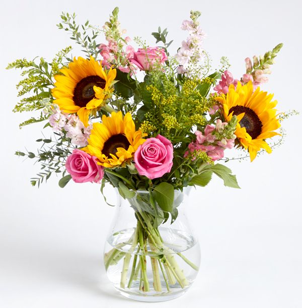 product image gallery_0