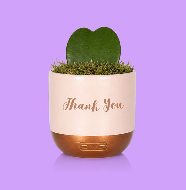 Product image gallery_0