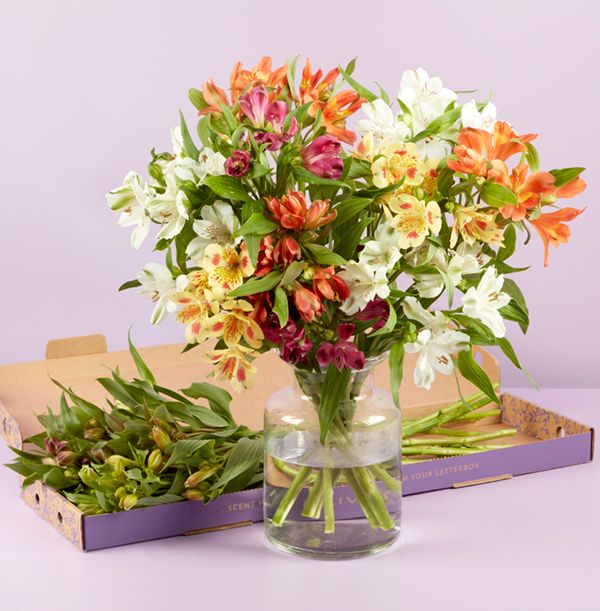 Product image gallery_1