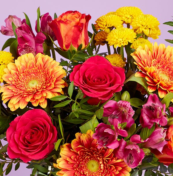 Product image gallery_1