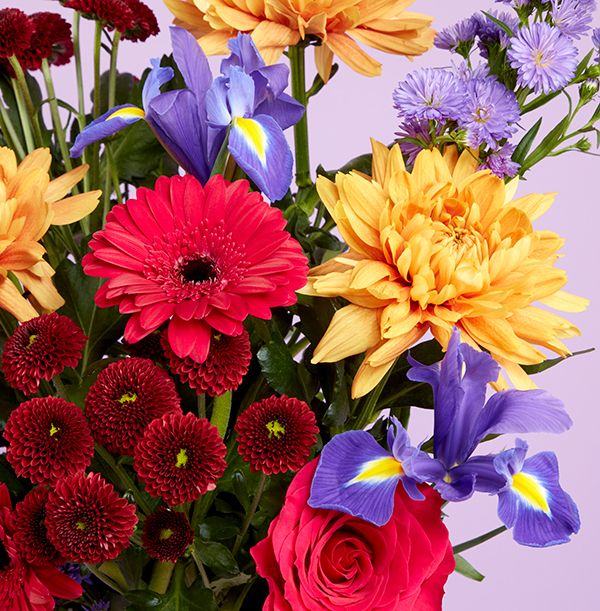 Product image gallery_1