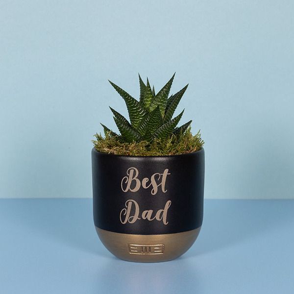 Product image gallery_1