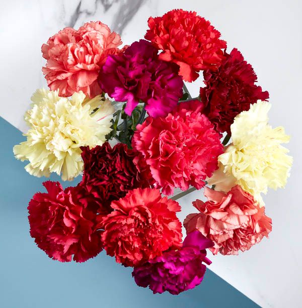 product image gallery_1