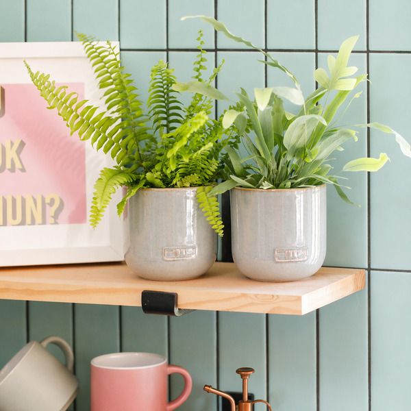 Product image gallery_1