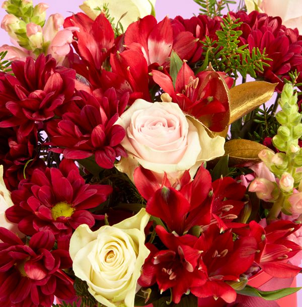 product image gallery_1