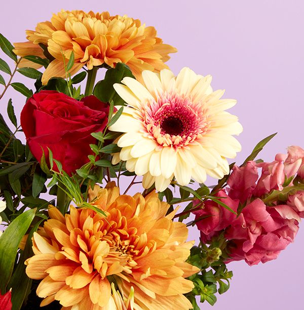 Product image gallery_1