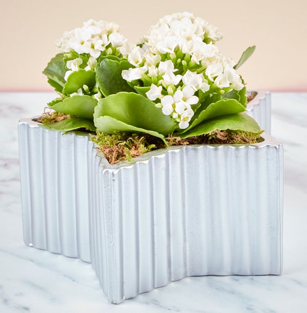 product image gallery_1