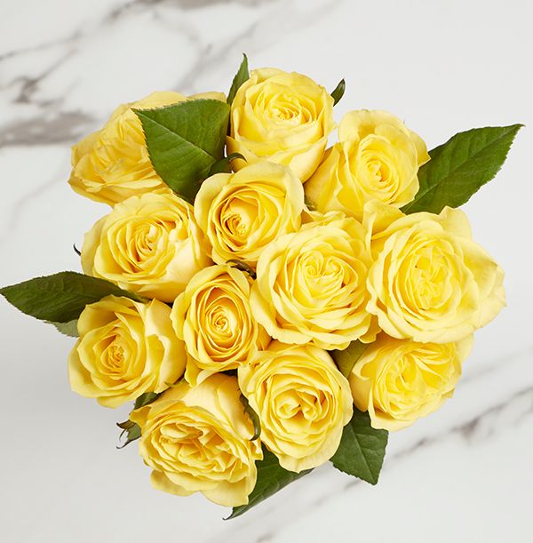 product image gallery_1