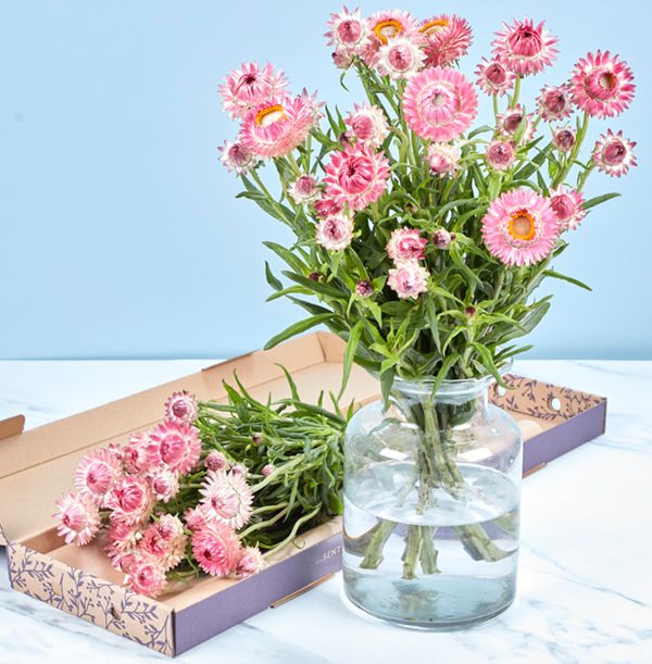 product image gallery_1