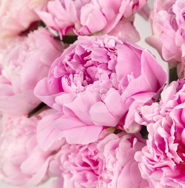 product image gallery_1