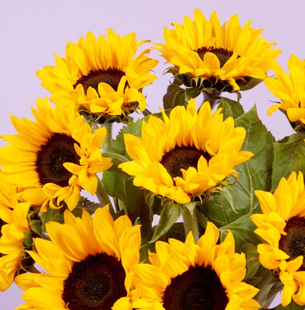 product image gallery_1