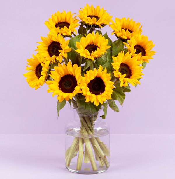 product image gallery_1