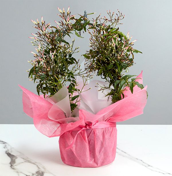 product image gallery_1