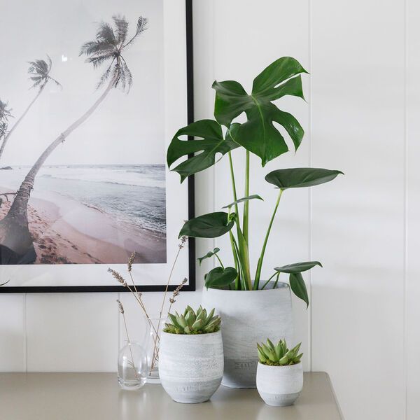 Product image gallery_1