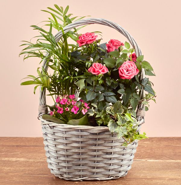 product image gallery_1