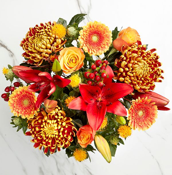 product image gallery_1