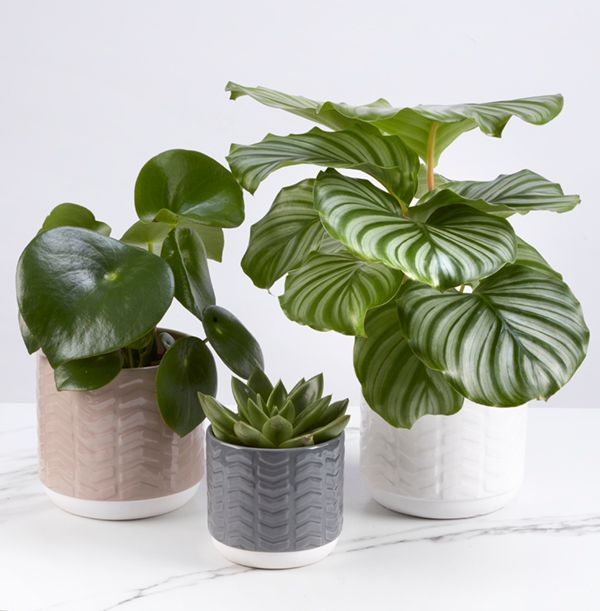 product image gallery_1