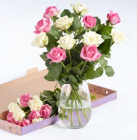 product image gallery_1