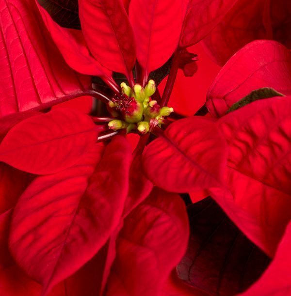 product image gallery_1