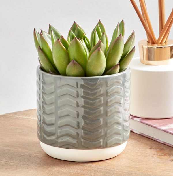 product image gallery_1