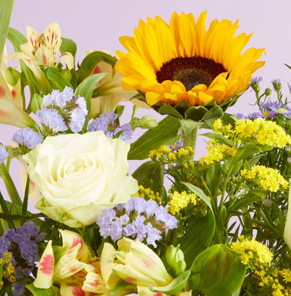 Product image gallery_1
