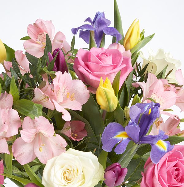 product image gallery_1