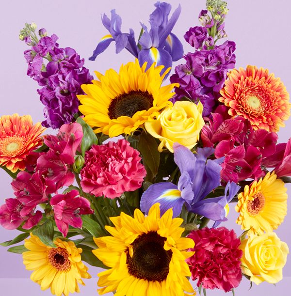 product image gallery_1