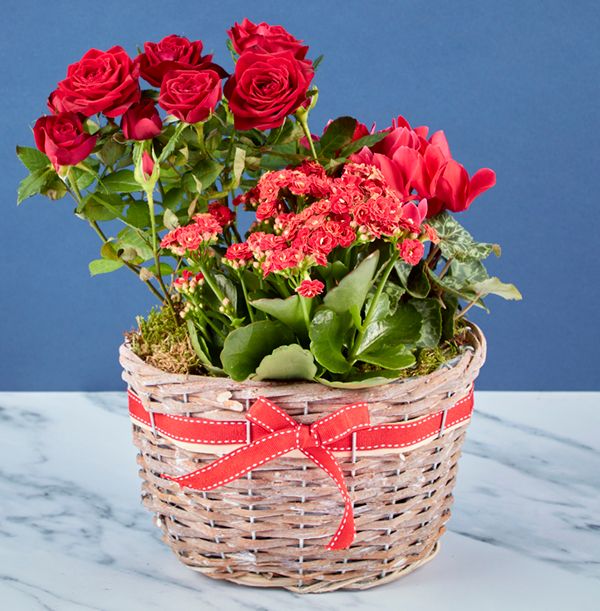 product image gallery_1