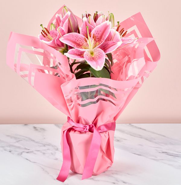 product image gallery_1