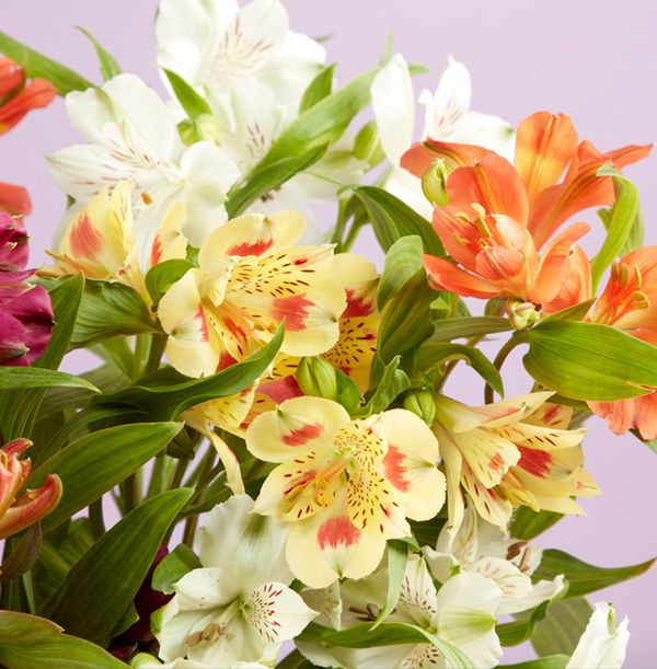 Product image gallery_2