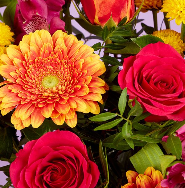 Product image gallery_2
