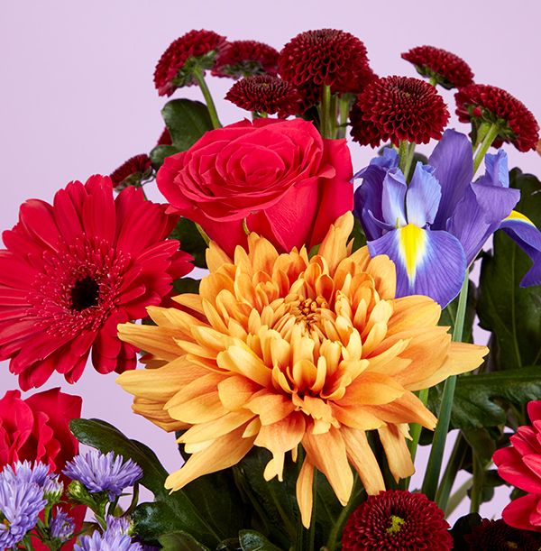 Product image gallery_2